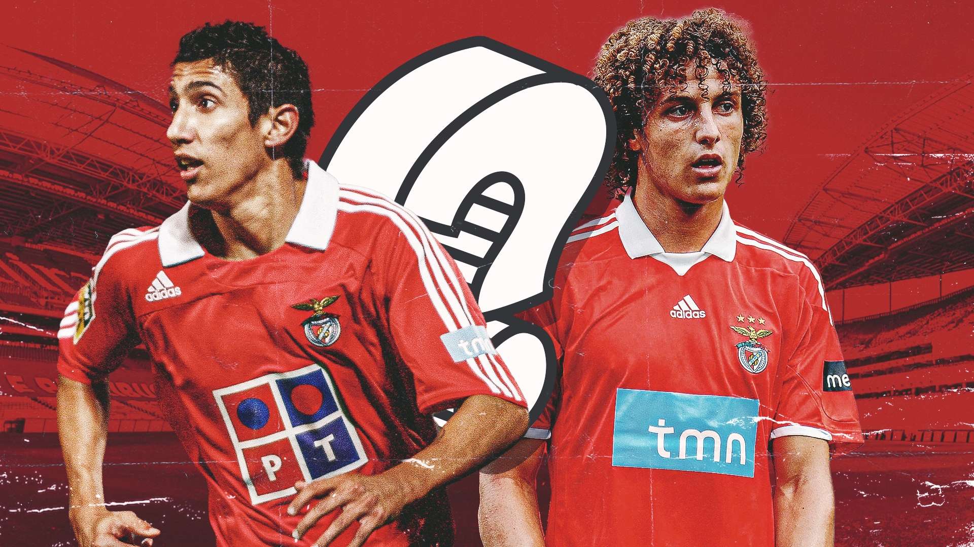 身體健康的 身體健康的