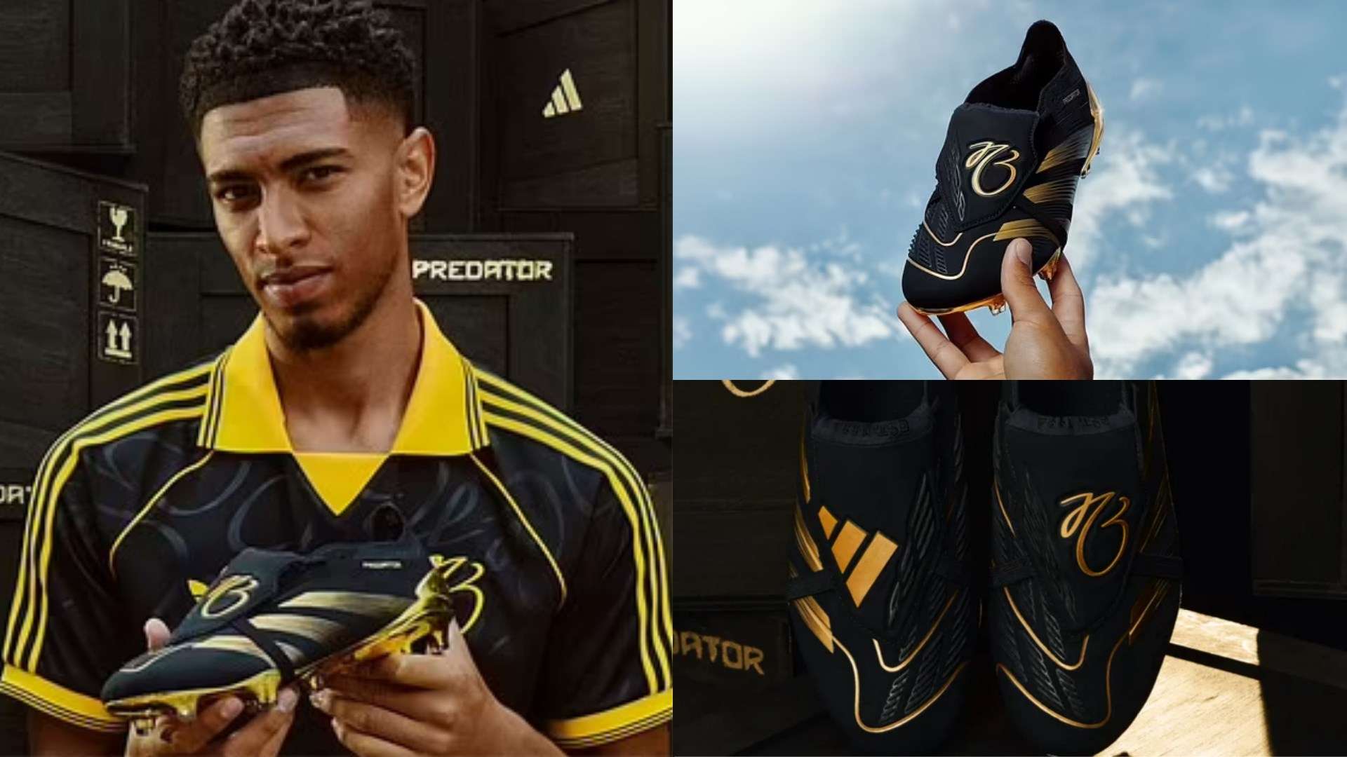 了展示自我 了展示自我